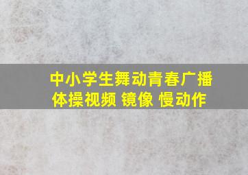 中小学生舞动青春广播体操视频 镜像 慢动作